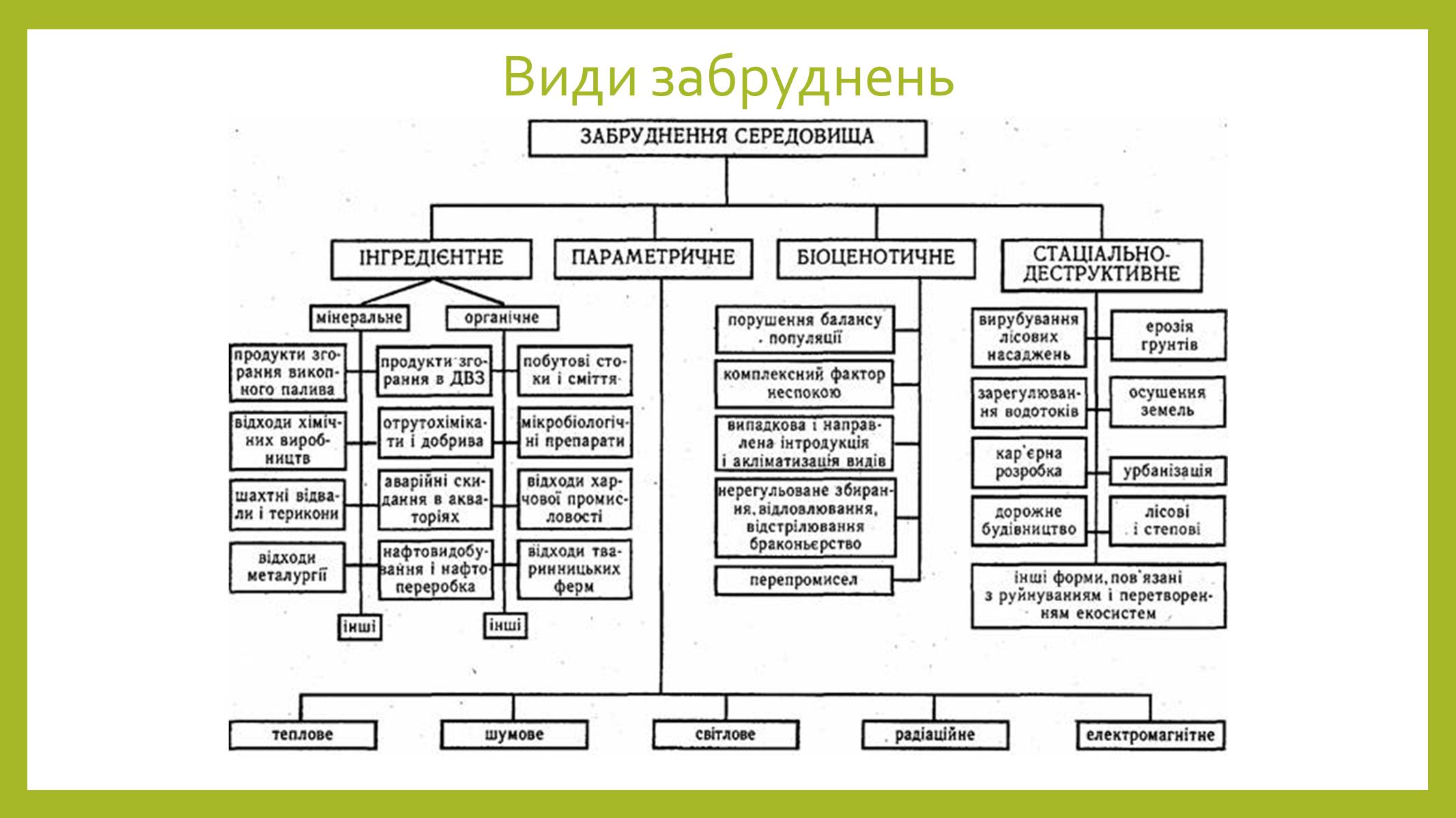 Презентація на тему «Моє довкілля – моє майбутнє» - Слайд #8