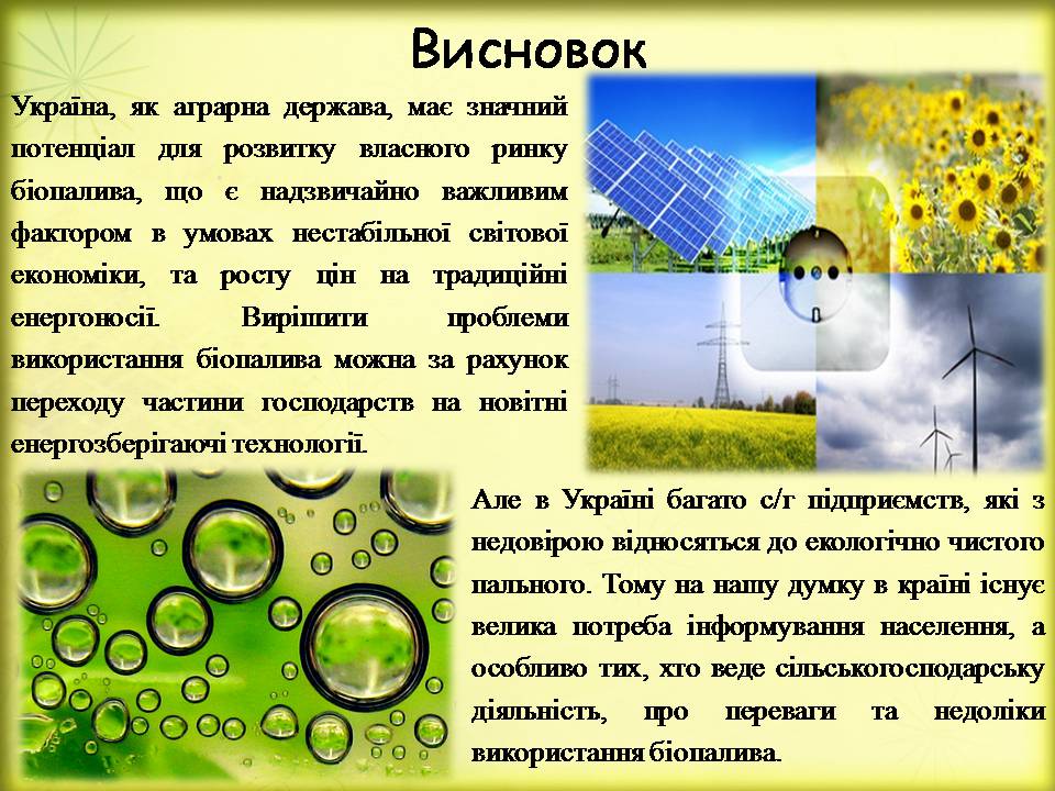 Презентація на тему «Поновлювані джерела енергії. Біоенергетика» - Слайд #16