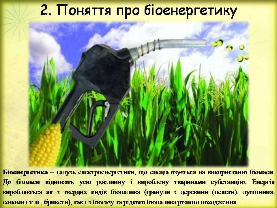 Презентація на тему «Поновлювані джерела енергії. Біоенергетика» - Слайд #5