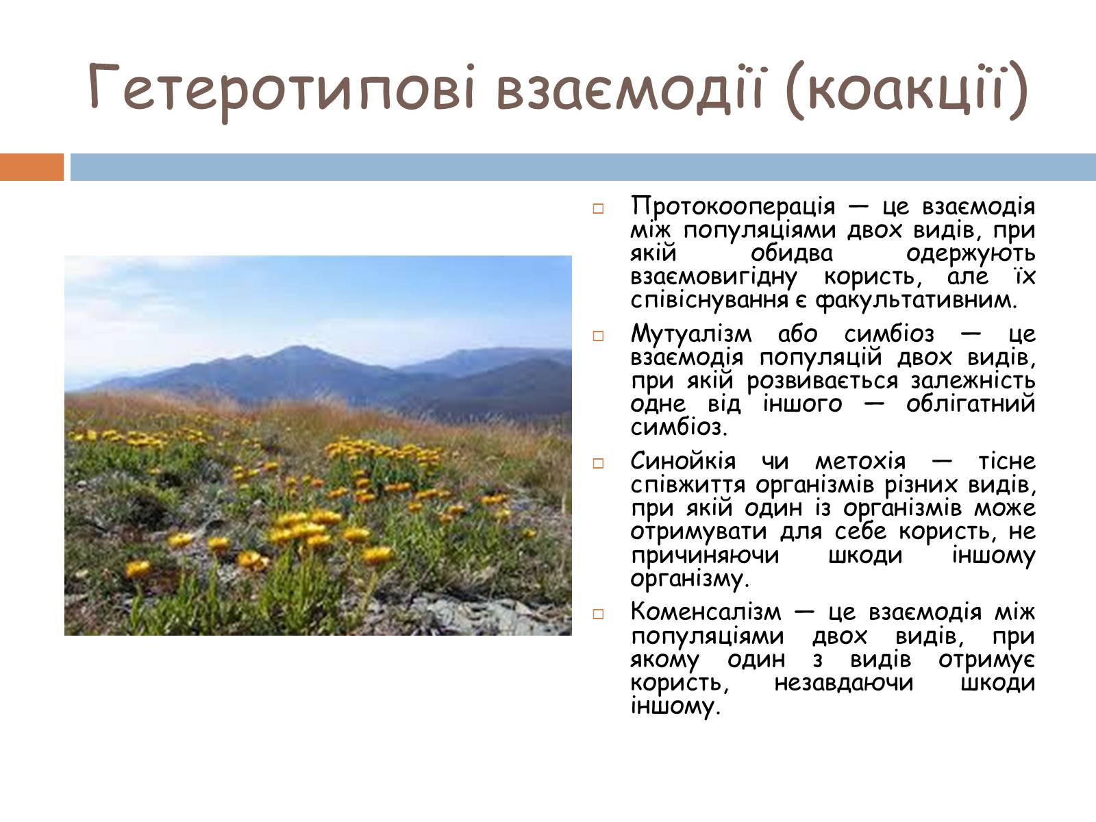 Презентація на тему «Екологічні фактори» (варіант 2) - Слайд #27
