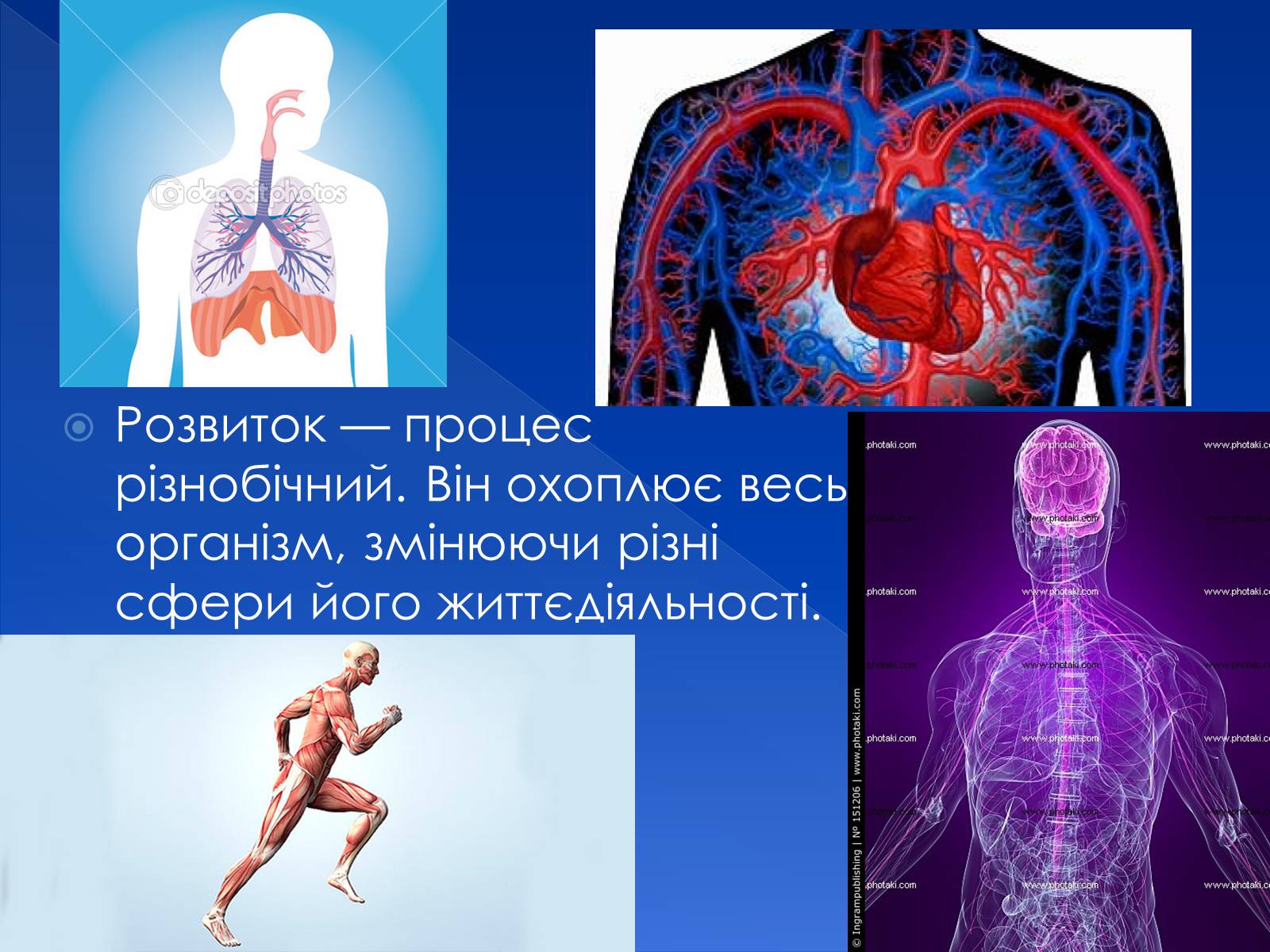 Презентація на тему «Фізіологічна та соціологічна зрілість» - Слайд #7