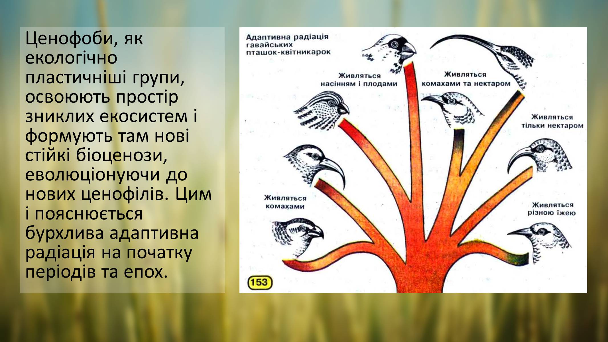 Презентація на тему «Гіпотези неокатастрофізму» - Слайд #8