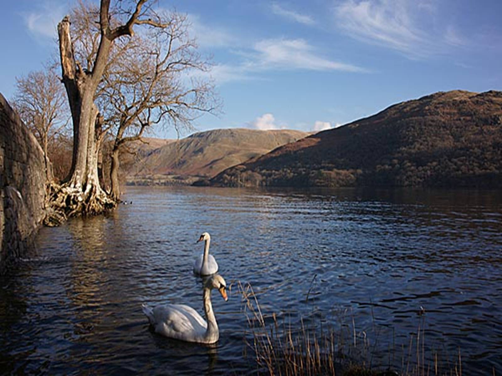 Презентація на тему «National Park Lake District» - Слайд #9
