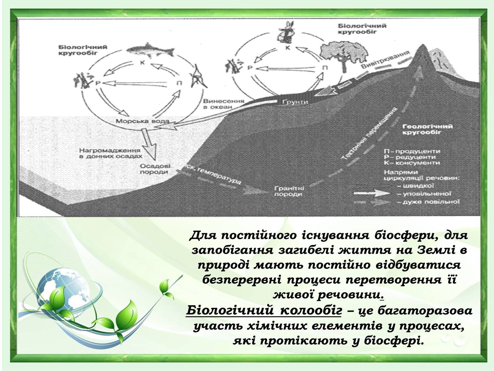 Презентація на тему «Проблеми зміни ланок колообігу речовин та енергії» - Слайд #4