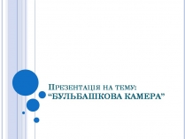 Презентація на тему «Бульбашкова камера»