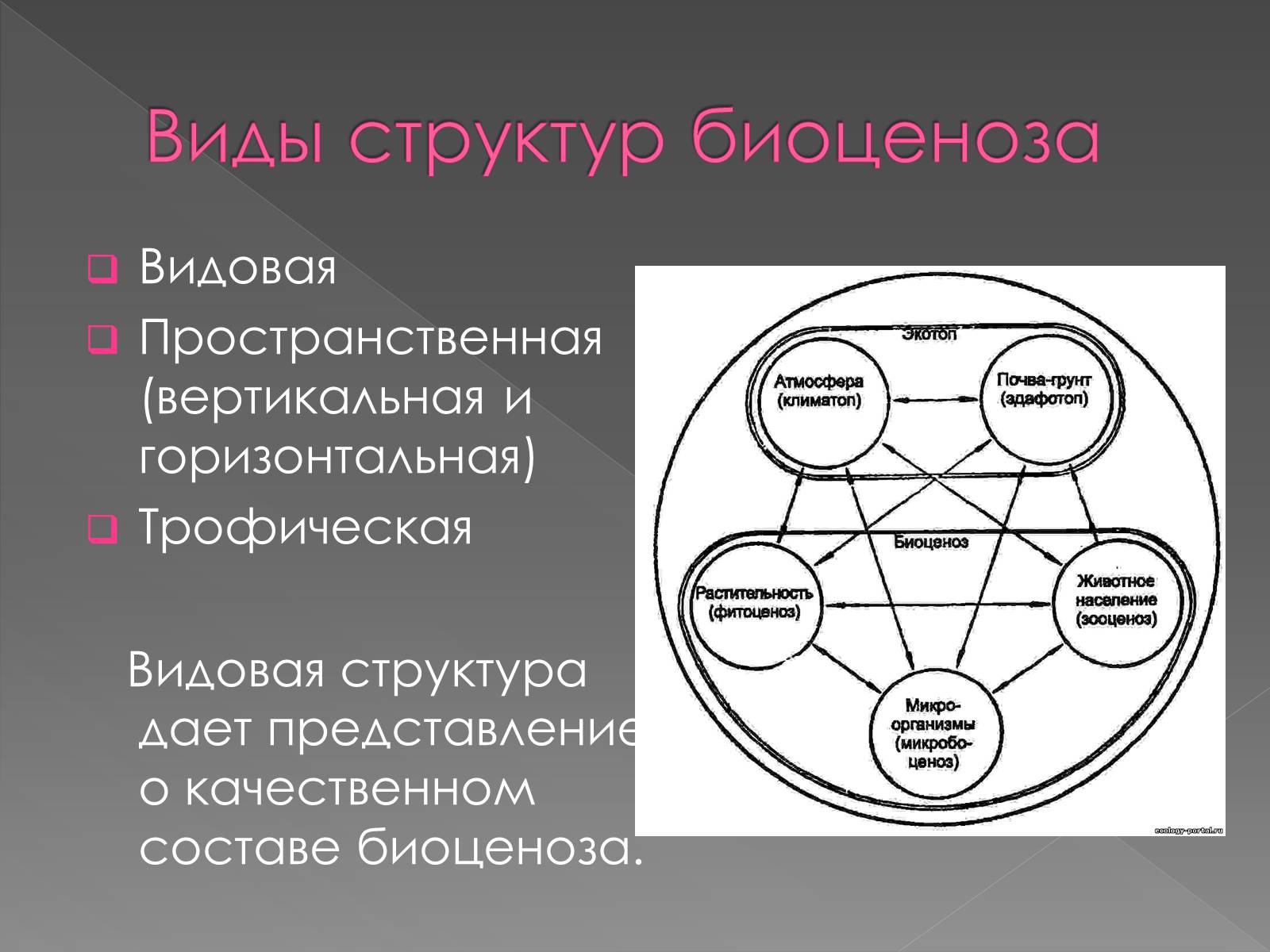 Презентація на тему «Биоценоз» - Слайд #4