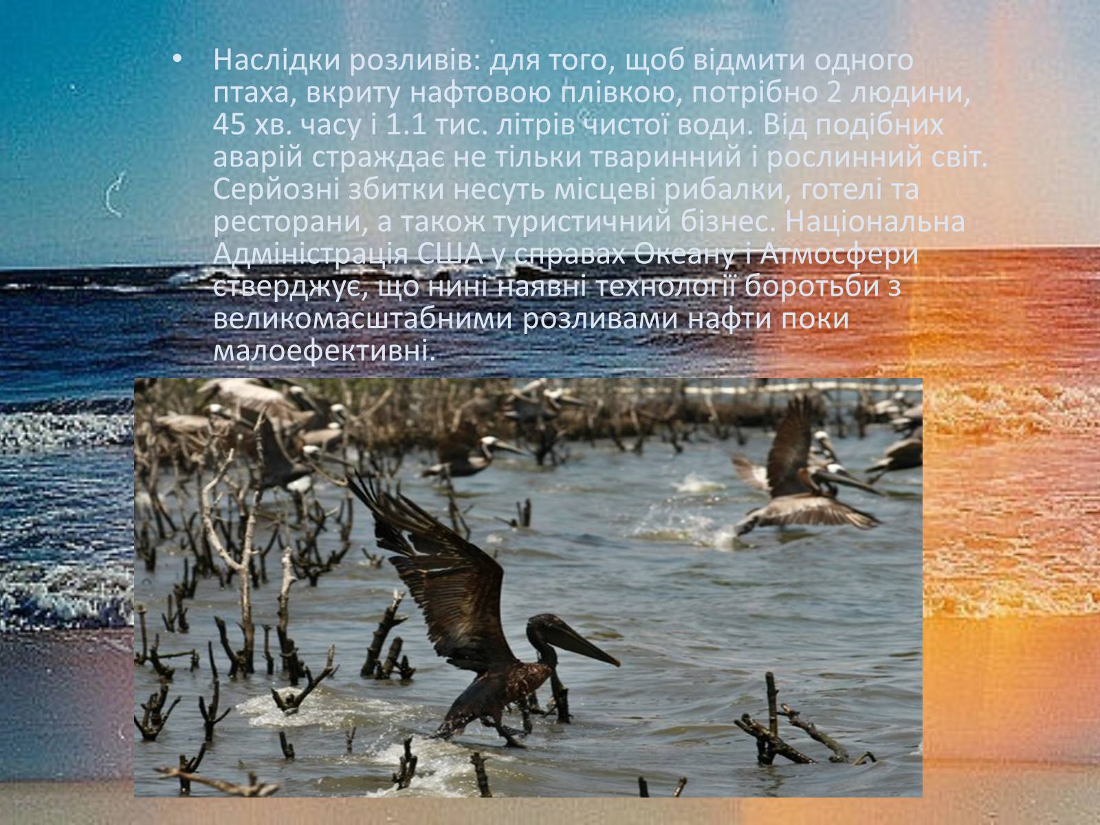 Презентація на тему «Міжнародне використання світового океану» - Слайд #23