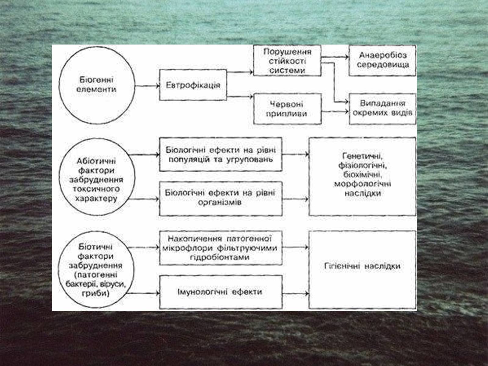 Презентація на тему «Міжнародне використання світового океану» - Слайд #31