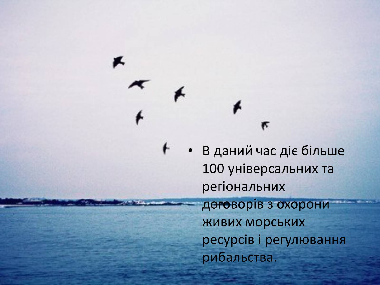 Презентація на тему «Міжнародне використання світового океану» - Слайд #45